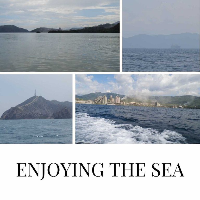 My Actifict report: March 15, 2024 / Enjoying The Sea - Disfrutando del Mar