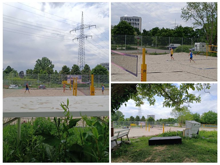 After work beachvolleyball - My Actifit Report Card: May 14 2025