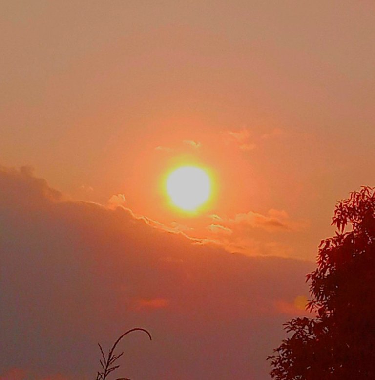 My Actifit Report Card: January 12 2026