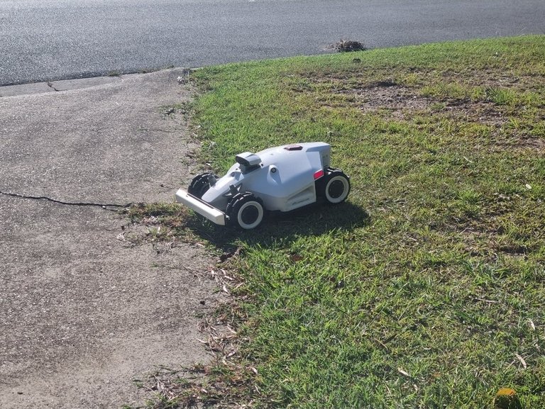 My Actifit Report Card: December 30 2025