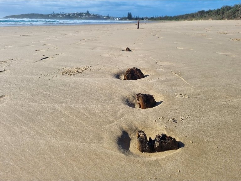 My Actifit Report Card: March 26 2026