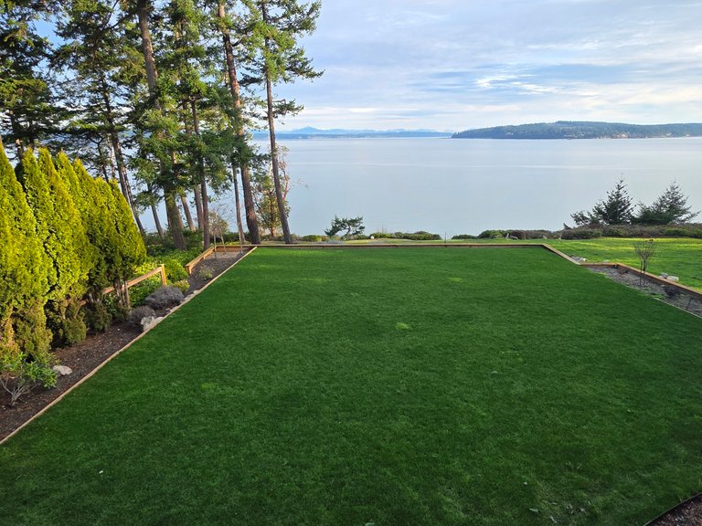 My Actifit Report Card: January 15 2026