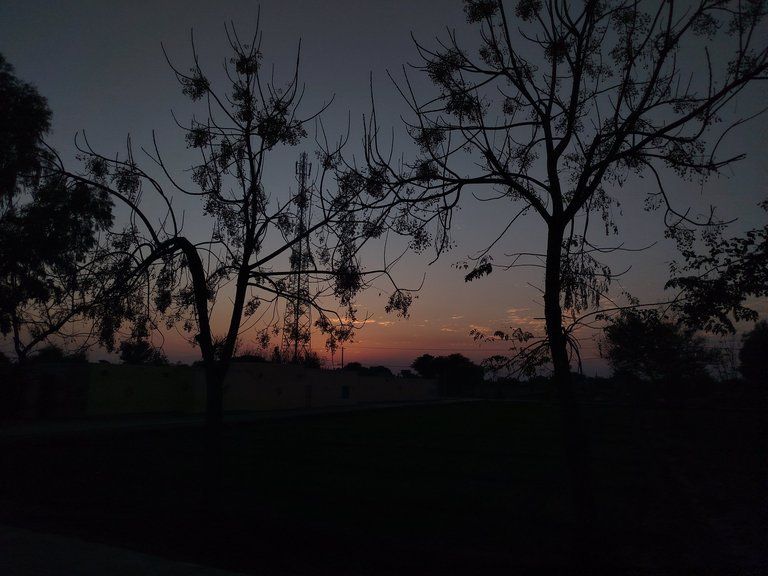 My Actifit Report Card: January 3 2026