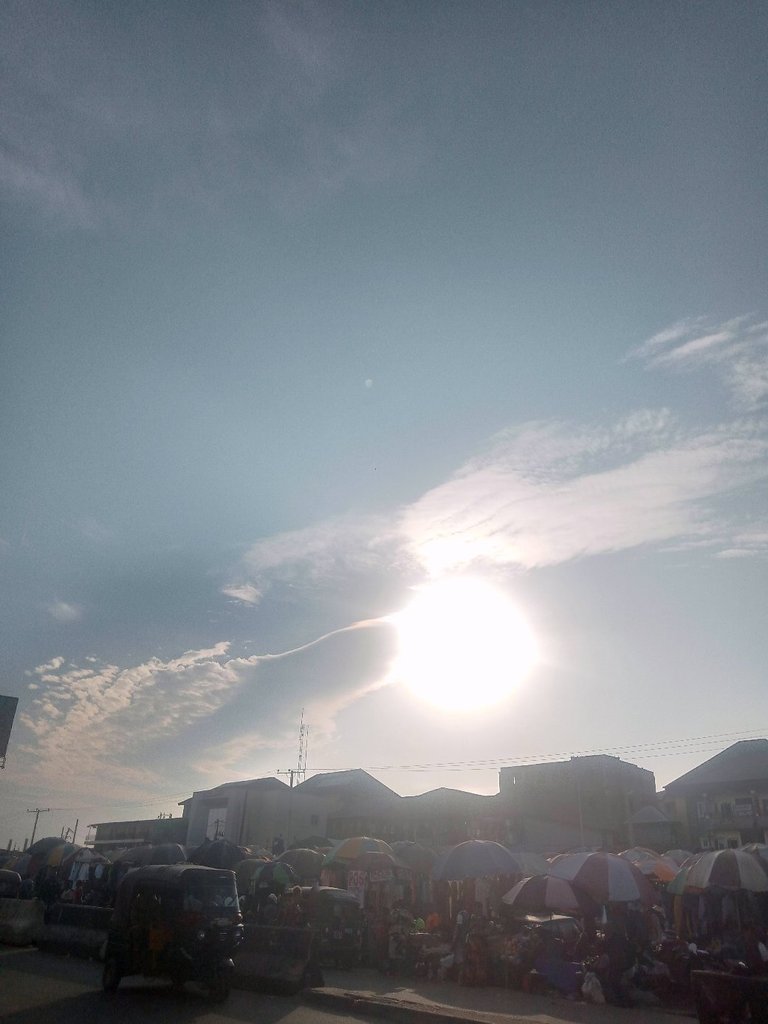 My Actifit Report Card: January 4 2026