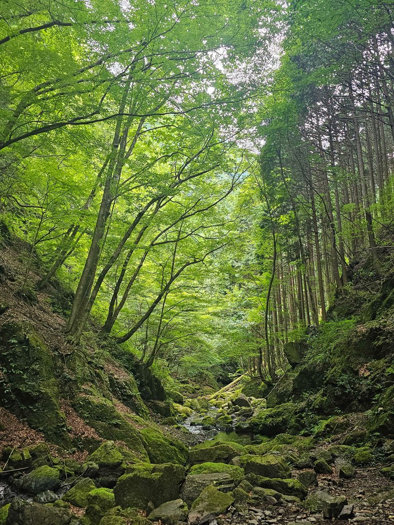 here is my entry to #aroundtheworld contest by @bucipuci taken in one of the many valleys along the mt kawanori trail