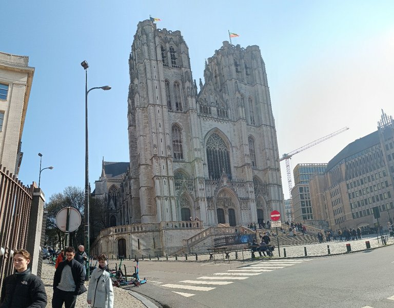 My Actifit Report Card: March 22 2026