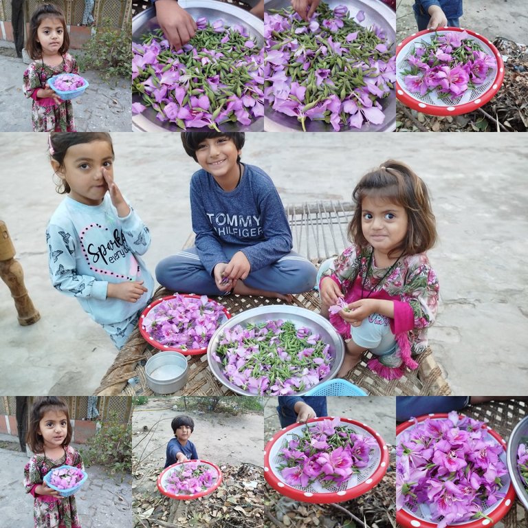 My Actifit Report Card: March 11 2026