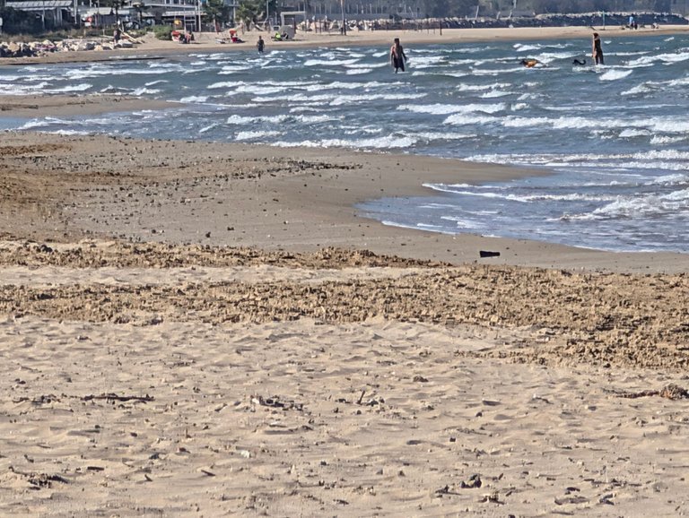 PHOTO: waves and bathers along the shore
