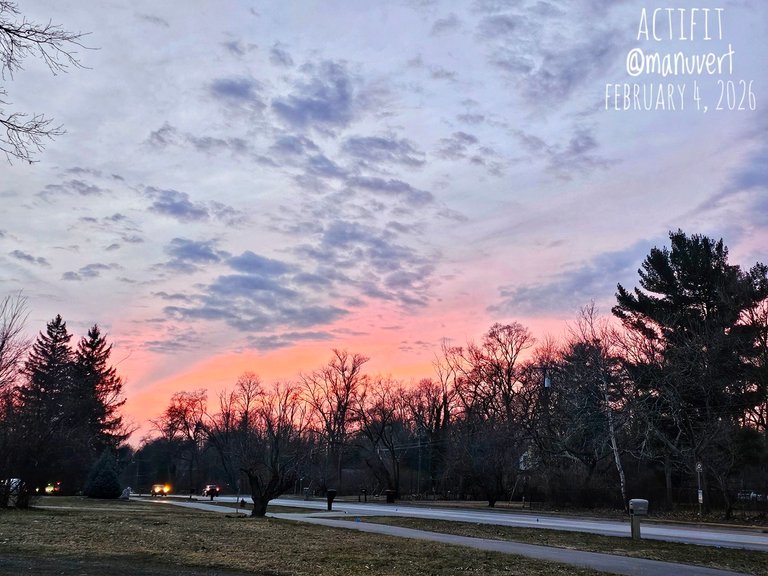 My Actifit Report Card: March 4 2026