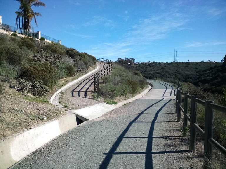 "The Road Not Taken" My Actifit Report Card: January 9 2022