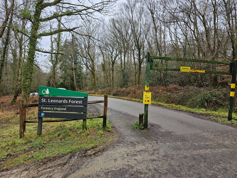 St Leonards Forest: My Actifit Report Card: February 4 2025