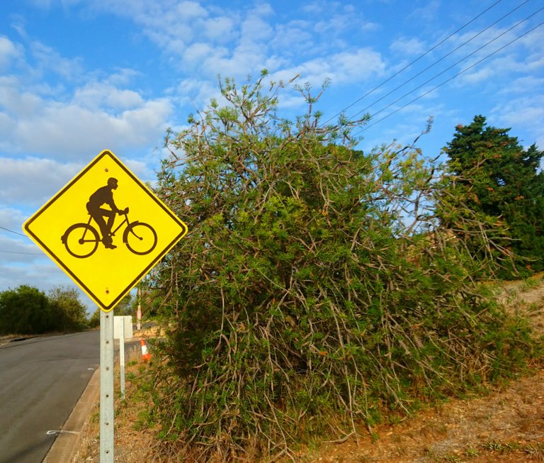 Bicycle Sign