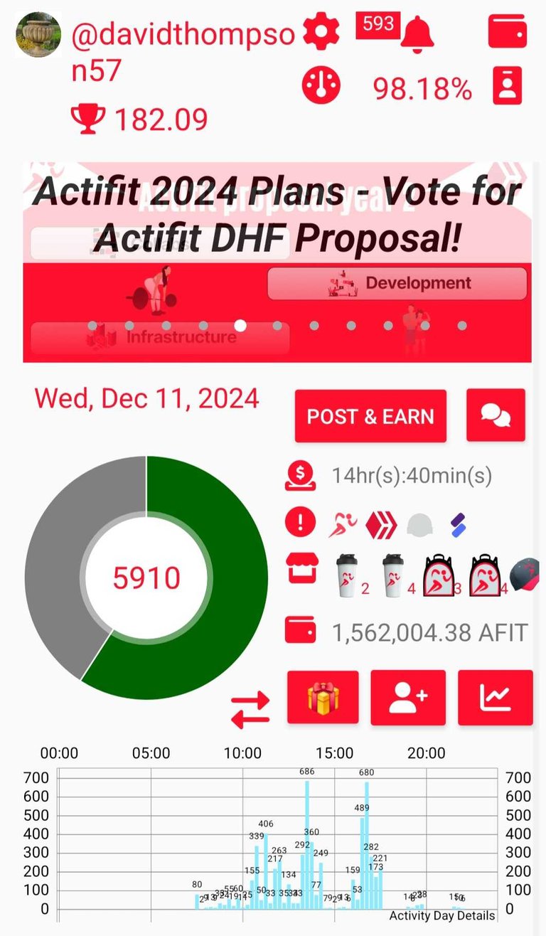 My Actifit Report Card: December 11 2024