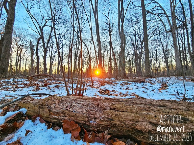 My Actifit Report Card: December 21 2025