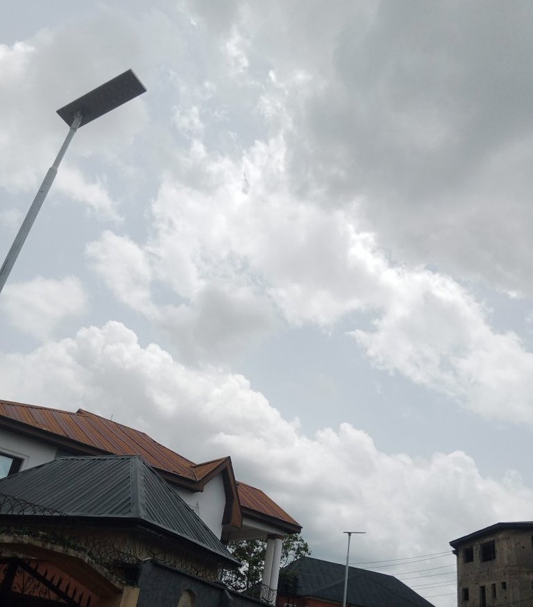 My Actifit Report Card: April 11 2026