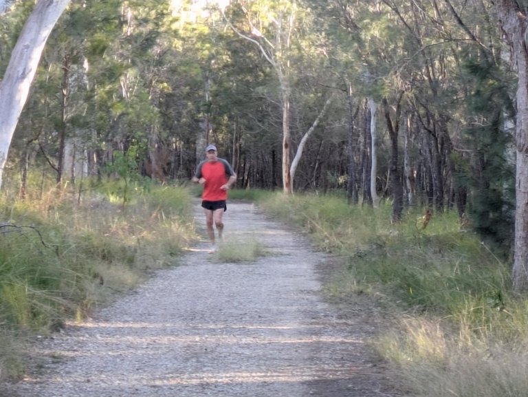 My Actifit Report Card: July 5 2025