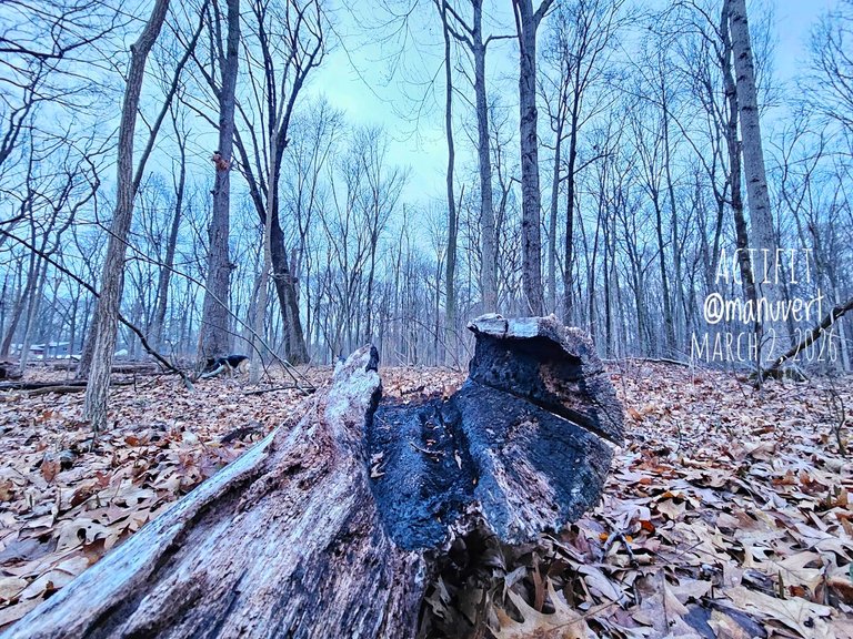 My Actifit Report Card: April 2 2026