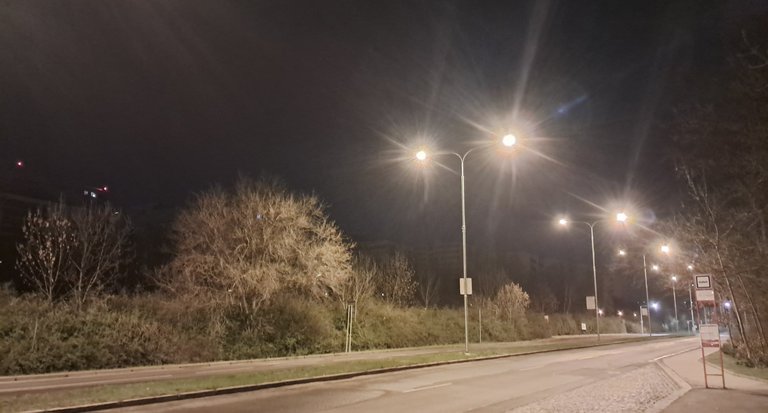 My Actifit Report Card: April 5 2026