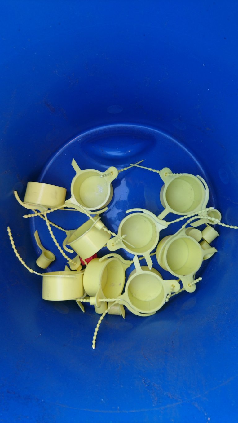 Tamper Evident Seals