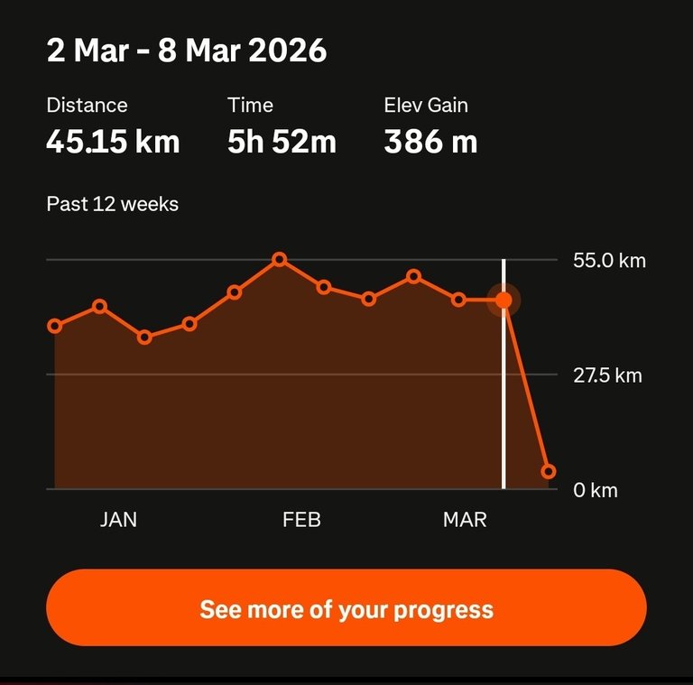 My Actifit Report Card: March 8 2026
