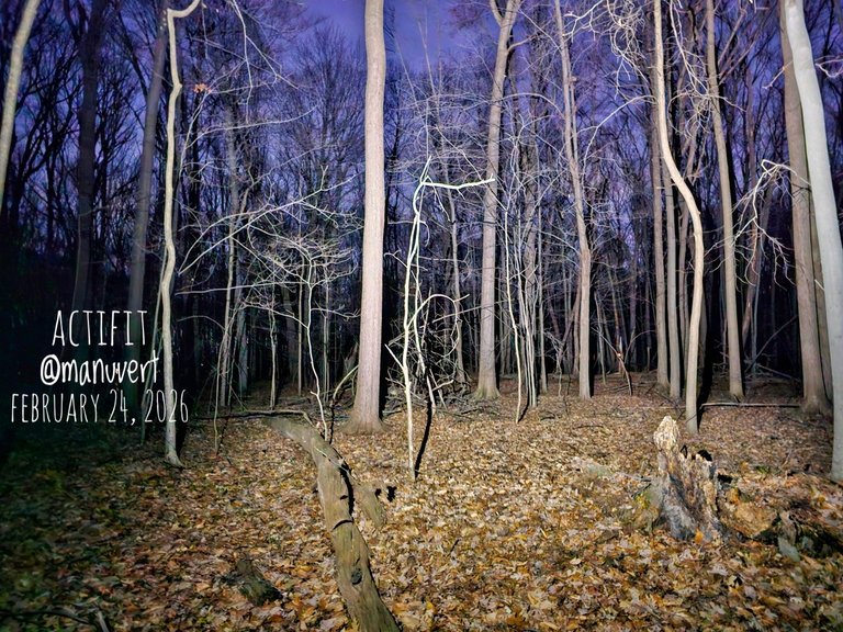 My Actifit Report Card: March 24 2026