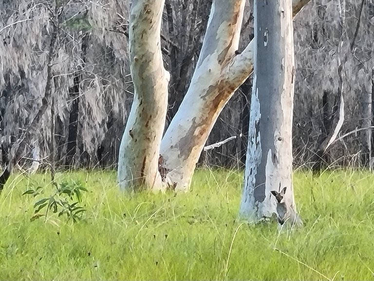 My Actifit Report Card: April 3 2026