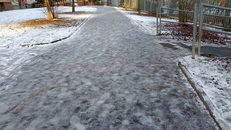 My Actifit Report Card: February 1 2026