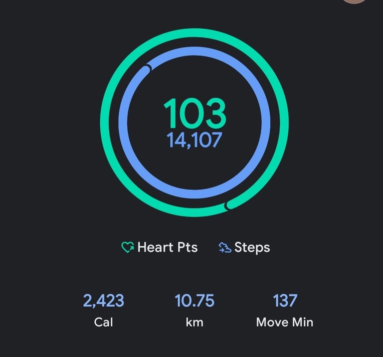 My Actifit Report Card: May 26 2026