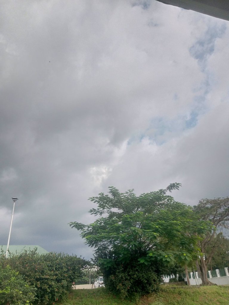 My Actifit Report Card: January 13 2026