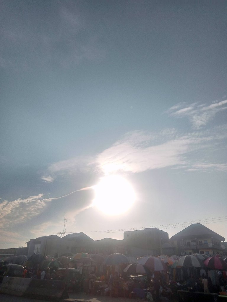 My Actifit Report Card: January 27 2026