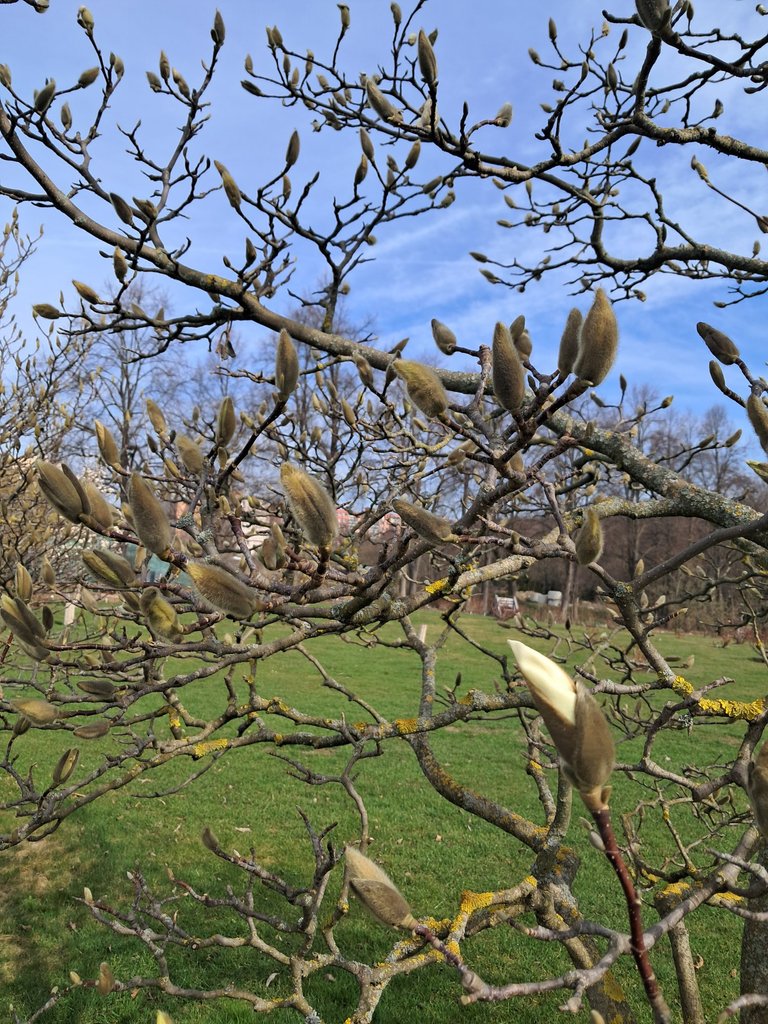 My Actifit Report Card: March 18 2026