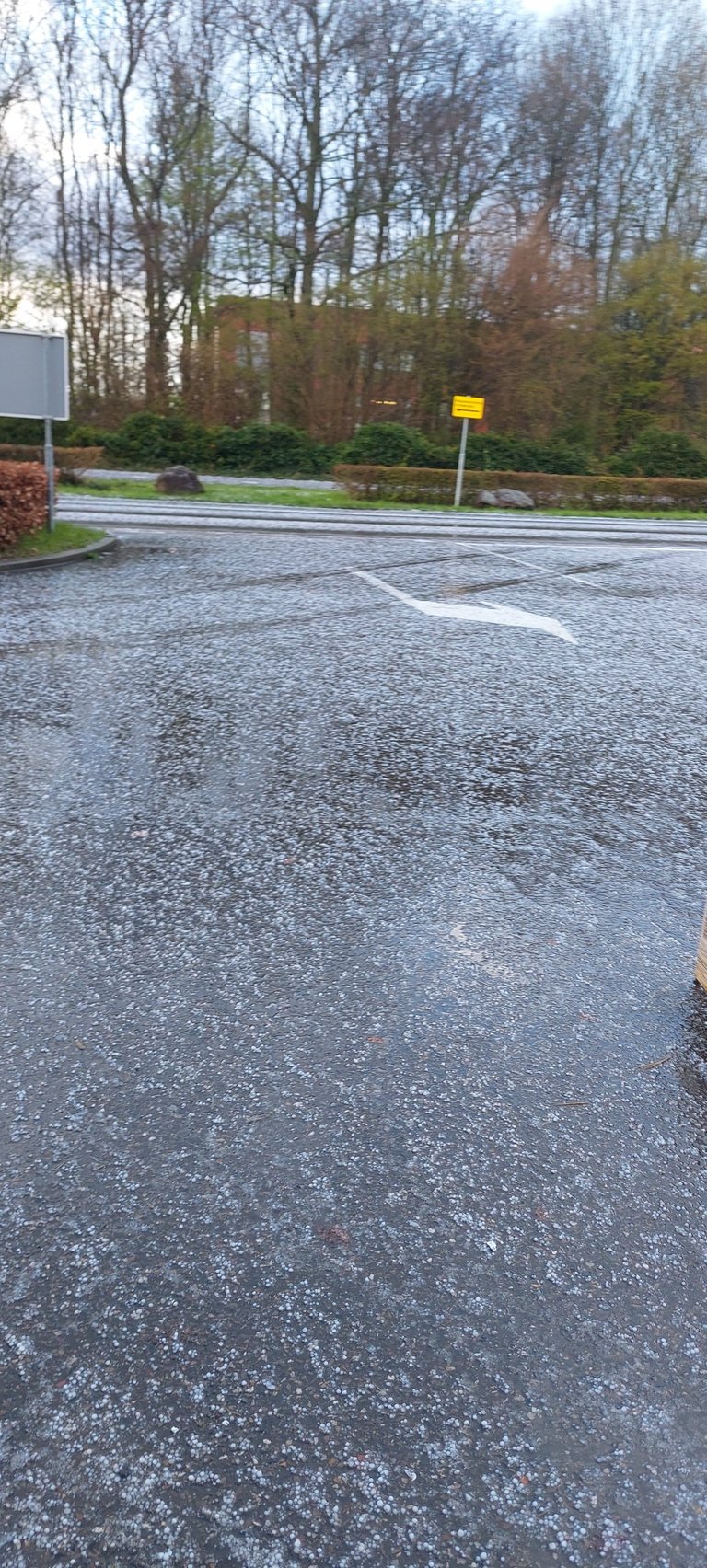 Three day work week (again) - My Actifit Report Card: March 16 2026