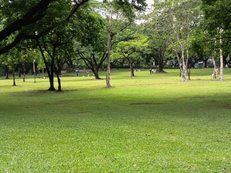 My Actifit Report Card: July 12 2026