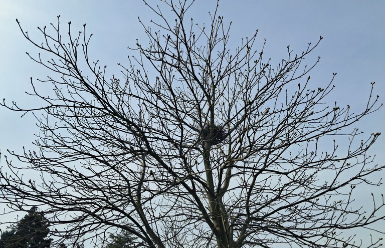 My Actifit Report Card: March 23 2026