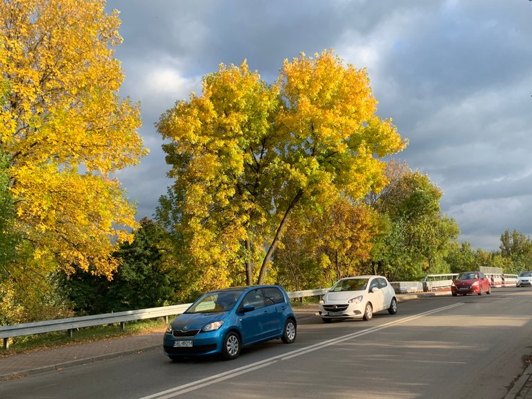 Jesień jesień jesień jak to tak? 