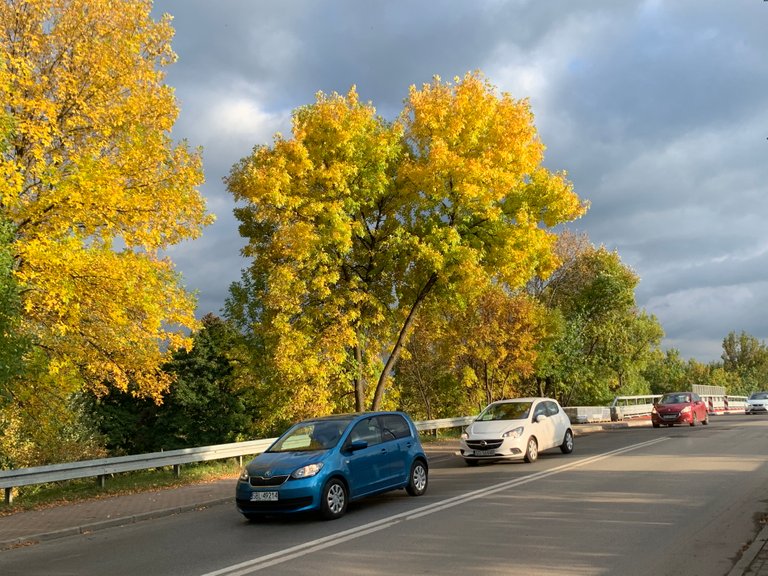 Jesień jesień jesień jak to tak? 