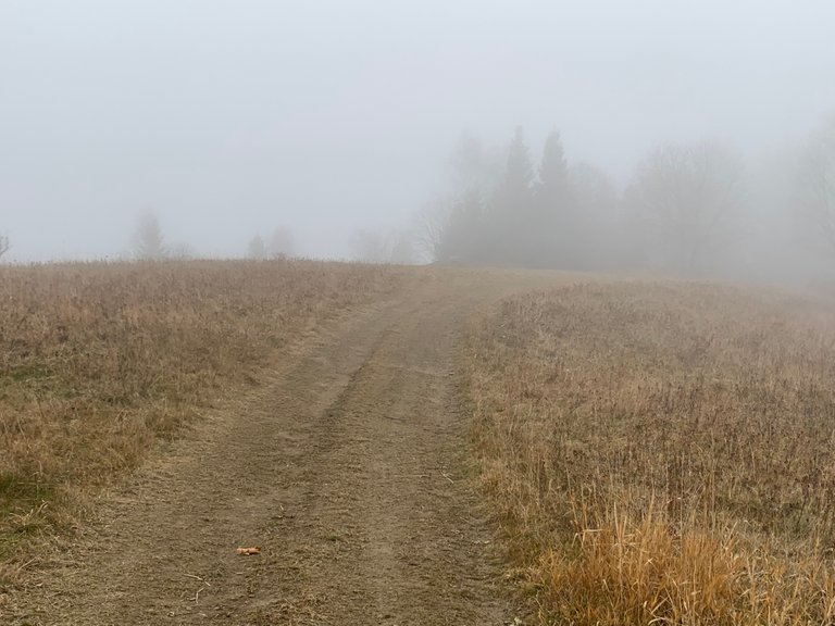 Misty November in Beskid Mały Mts, Poland