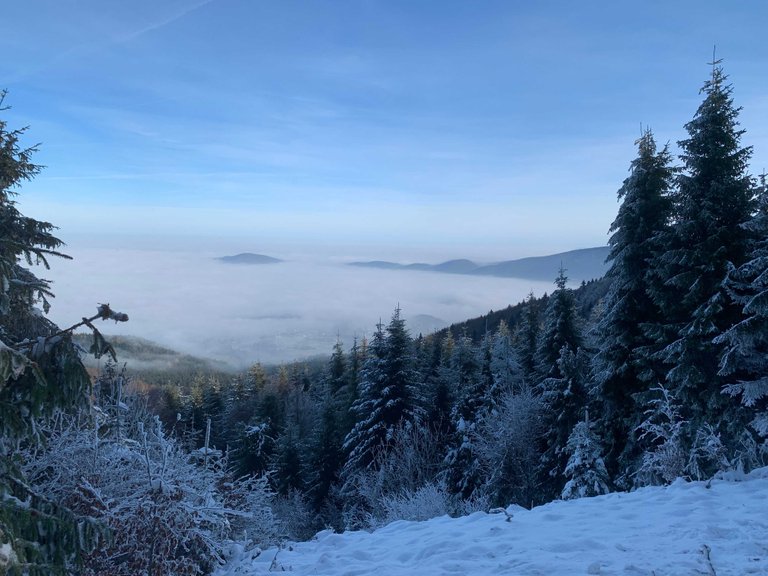 A see of clouds and mountain peaks of Insular Beskid, Poland