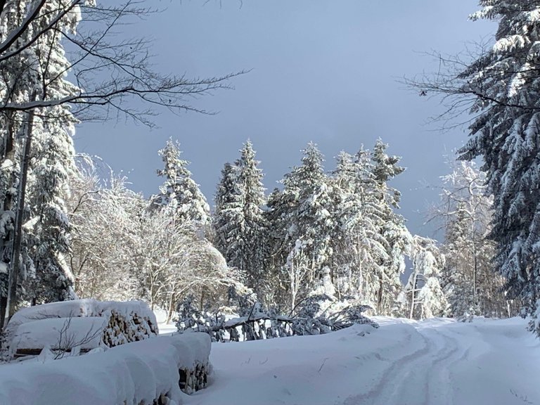 hiking in Beskid Wyspowy - a mountain range in Poland