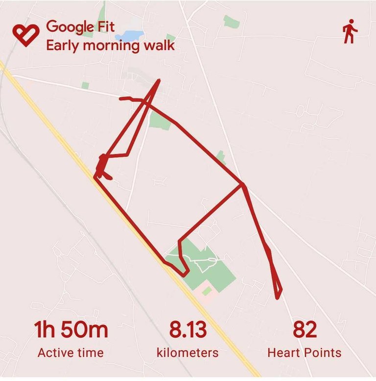 My Actifit Report Card: October 6 2022