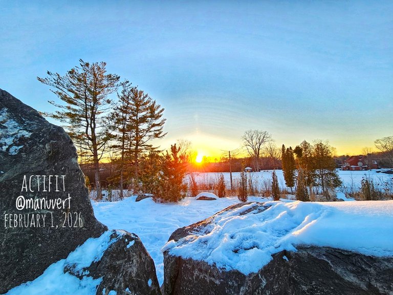 Carpenter Lake Nature Preserve again - My Actifit Report Card: February 1 2026