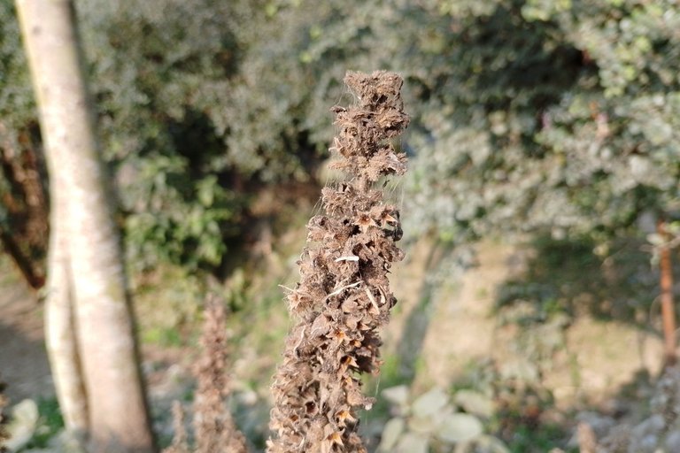 My Actifit Report Card: February 1 2026