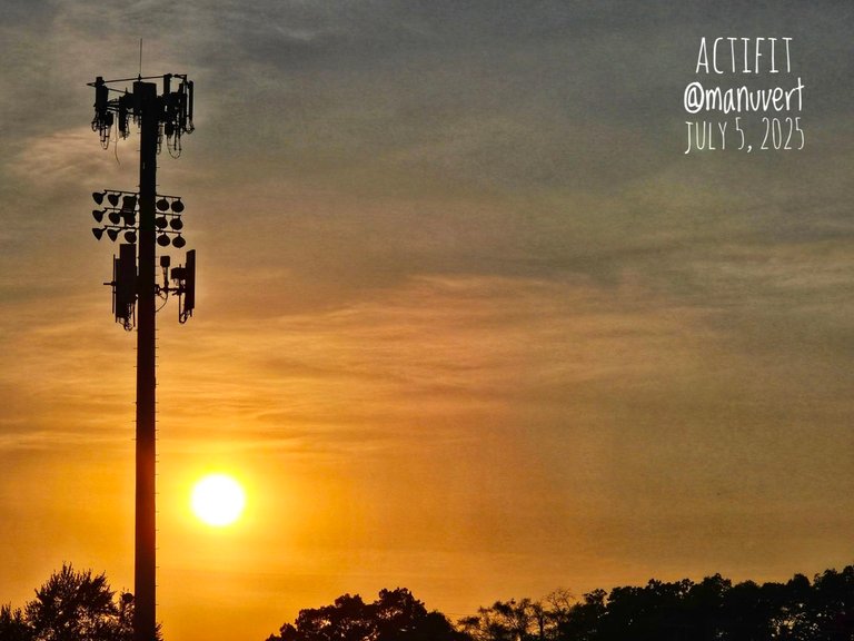 My Actifit Report Card: July 5 2025