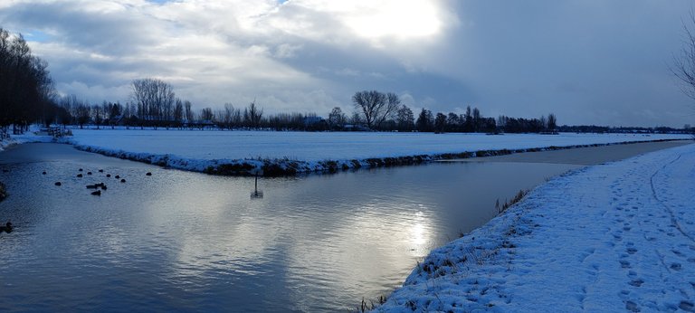 A longer walk in a white world - My Actifit Report Card: January 4 2026