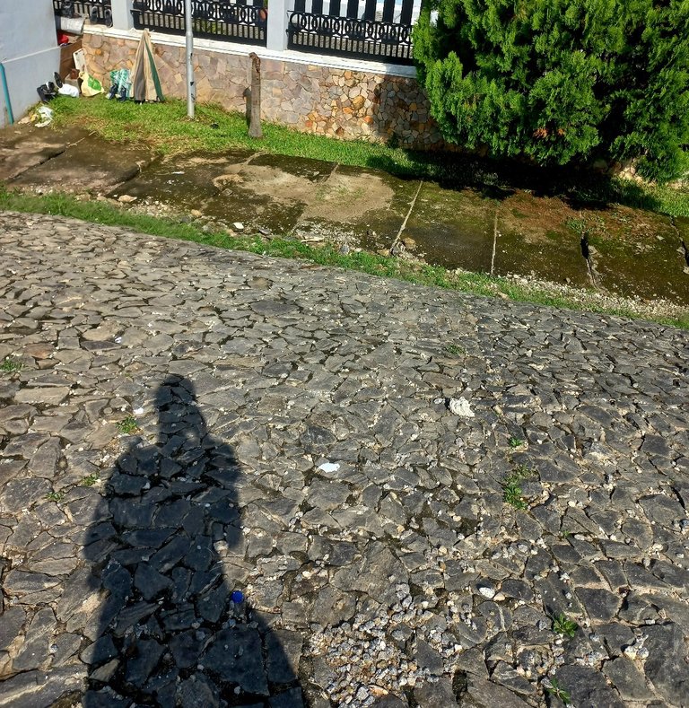 My Actifit Report Card: July 6 2025 (A cool Sunday)