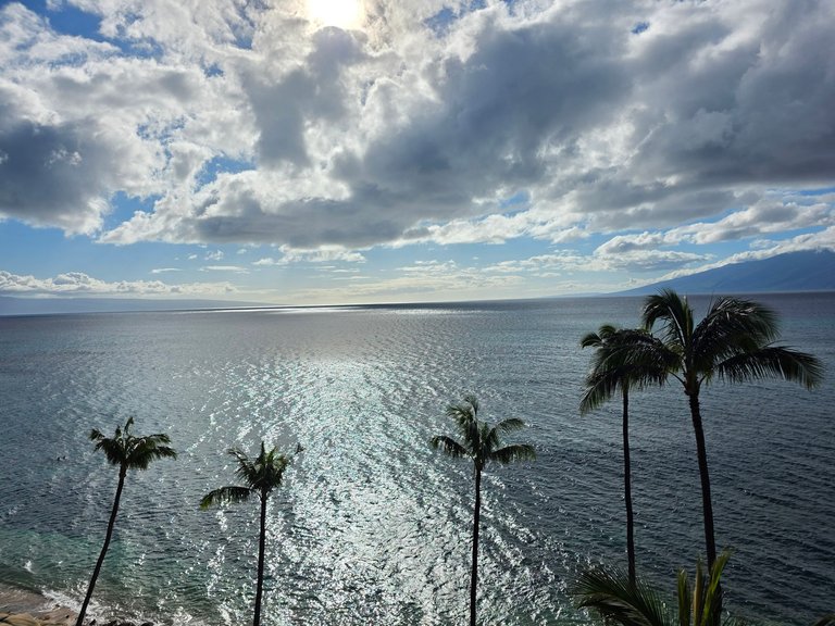 My Actifit Report Card: April 7 2026