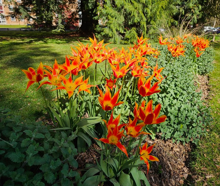 My Actifit Report Card: April 7 2026