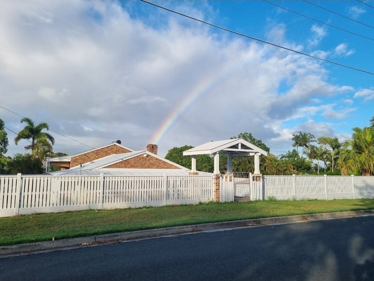 My Actifit Report Card: January 20 2026