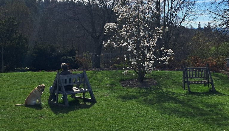 My Actifit Report Card: April 6 2026