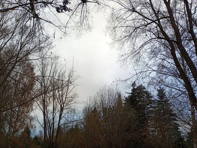 My Actifit Report Card: January 2 2026